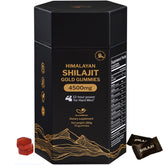 Gommes Shilajit Himalaya de 5Loaf2Fish en boîte, pratique pour l'énergie quotidienne.