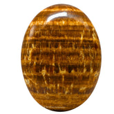 Amazing Gemstone Aragonite – pierre de paume grosse pour méditation et équilibre.