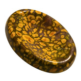 Amazing Gemstone – pierre jasper fruit detail pour focalisation et calme intérieur