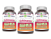 Amazing Nutrition Echinacea – bouteille avec gélules faciles à avaler pour routine quotidienne.