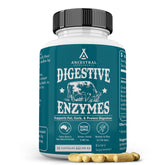 Ancestral Supplements Digestive Enzymes – bouteille de 90 capsules pour soutenir la digestion et l’absorption