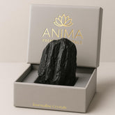 Anima tourmaline noire brute, grande pierre texturée, pour un ancrage naturel.
