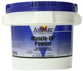 ANIMED MuscleUp Poudre : bouteille facile à utiliser après l'entraînement