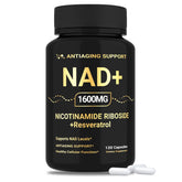 ANTIAGING SUPPORT NAD 1600mg - bouteille : énergie durable pour la journée
