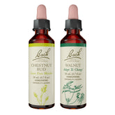 Bach remèdes floraux bourgeon marronnier 20 ml, soutien à l’apprentissage et sagesse quotidienne.