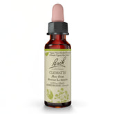 Bach Clematis – bouteille 10 ml pour soutenir la concentration