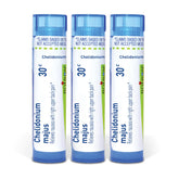 Boiron Chelidonium Majus 30C pellets en tube, format pratique pour usage quotidien.
