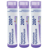 Boiron Histaminum 200CK pellets emballage triple pratique pour domicile.