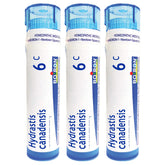 Boiron Hydrastis Canadensis 6C, emballage pratique en tubes prêt à l’emploi