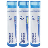 Boiron Hypericum perforatum 6c – pellets à dissolution rapide utilisés dès les premiers signes.