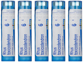 Boiron Rhus Toxicodendron 6C – tubes de perles, soulagement possible des douleurs articulaires