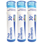Boiron Thuja Occidentalis 30c pour verrues, pellets visibles dans le tube.