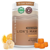 Charlotte's Web Focus Gummies soutien concentration et energie via criniere de lion; gout mandarine.