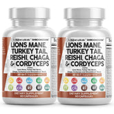 Clean Nutraceuticals Lions Mane 20en1 – Bouteille prête à l’emploi pour votre routine.
