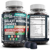 Terramineral shilajit gommes par Clean Nutraceuticals, texture gourmande et soutien potentiel à la vitalité.