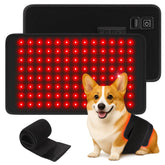 Clocness Ceinture Lumière Rouge pour Chien en action à domicile.
