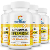 CORPORALIGHT Spermidine, bouteille de softgels: soutien potentiel au renouvellement cellulaire.