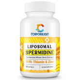 Gélules molles CORPORALIGHT Spermidine 30 mg, absorption optimisée pour le renouvellement cellulaire.