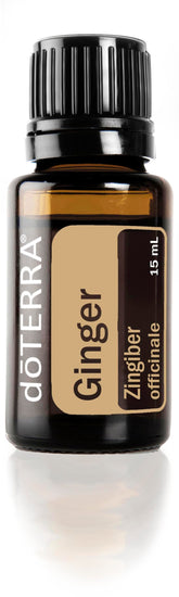 Flacon doTERRA Gingembre huile essentielle; parfum épicé et aromathérapie apaisante.
