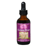 Dragon Herbs Coriolus queue de dinde gouttes versées dans une boisson chaude avec soutien immunitaire potentiel.