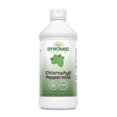 Dynamic Health Chlorophylle Menthe Poivrée, bouteille verte prête à l’emploi, goût frais.
