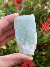 GAF TREASURES Pistache Calcite brute, pierre décorative prête à exposer