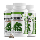 GreeNatr Pure Moringa: capsules d'extrait de feuilles pour énergie naturelle.