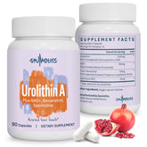 Gyumolics Urolithin A en bouteille, soutien potentiel de l'énergie quotidienne.