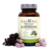 Bouteille Herbal Roots de gélules au sureau noir, soutien quotidien potentiel.