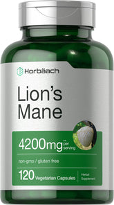 Horbäach Crinière de Lion, bouteille de 120 capsules, soutien potentiel à l'énergie.