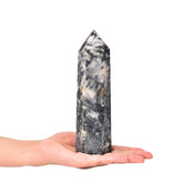 JIC Gem Tourmaline noir et quartz blanc, pointe de cristal pour Reiki et méditation.