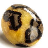 Kalifano Pierre Septarian paume : texture détaillée pour énergie calme et centrage