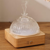 Lecdura Diffuseur en verre 200 ml pour diffusion d'huiles essentielles