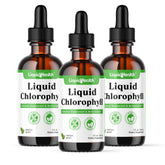 LIQUIDHEALTH Gouttes Chlorophylle – flacon pour haleine fraîche et détox intérieur