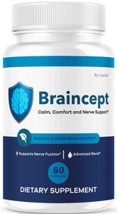 LIVORKA Braincept – boîte soignée facilitant l'organisation quotidienne.