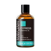 MAYJAM Cypress huile essentielle en bouteille ambrée prête à diffuser dans la pièce.