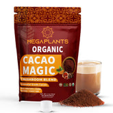MEGAPLANTS Cacao Magic tasse chocolat chaud, boisson réconfortante et naturelle