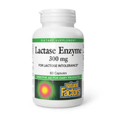 Natural Factors Lactase Enzyme, bouteille prête à l’emploi pour une digestion potentielle.