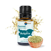 Huile essentielle de fenouil Nature Packaged dans une bouteille et parfum doux.