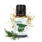 Nature Packaged huile de cyprès 15ml – bouteille prête à diffuser pour aromathérapie apaisante.