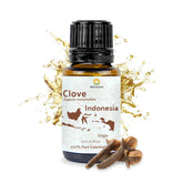 Nature Packaged, bouteille d'huile de girofle pure pour diffusion aromatique.