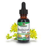 Nature's Answer Bupleurum Chinense – bouteille prête pour votre routine quotidienne.