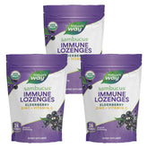 Pastilles Sambucus Immun Nature's Way dans une bouteille portable pour le quotidien.