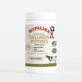 Nopalina Poudre collagène hydrolysée prête à être mélangée dans vos boissons.