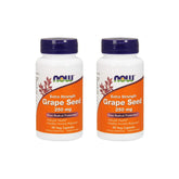 NOW Foods Extrait de Pépins de Raisin 250 mg en bouteille, riche en polyphénols.