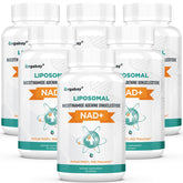 Orgabay Liposomal NAD+ - bouteille en gros plan, prise quotidienne facilitée.