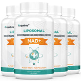 Orgabay NAD+ liposomale Plus — bouteille sur fond clair, soutien potentiel à l'énergie quotidienne.