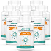 Orgabay NAD liposomal 500 mg – Bouteille prête à soutenir l'énergie cellulaire durable.