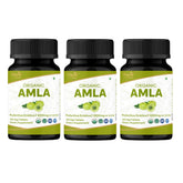 ORGANIC SPREE Amla comprimés en bouteille avec potentiel apport vitamine C pour l'énergie.