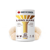 Pacific Rim Mushrooms crinière de lion poudre dose 1000 mg — soutien cognitif potentiel.